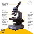Biologický monokulárny mikroskop Levenhuk 320 BASE