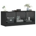 vidaXL TV skrinka so sklenenými dvierkami čierna 102x37x42 cm