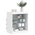 vidaXL Komoda s LED svetlami biela 60,5x37x67 cm