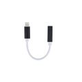 Prispôsobovací adaptér audio jack 3,5 mm – Lightning čierny