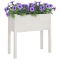 vidaXL Záhradný kvetináč biely 70x31x70 cm borovicový masív