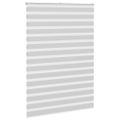 vidaXL Zebra roleta svetlosivá 165x230cm šírka látky 160,9cm polyester