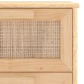 vidaXL Komoda hnedá 40x30x90 cm masívna borovica a prírodný ratan