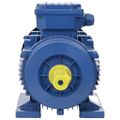 vidaXL 3-fázový elektromotor, hliník 2,2kW/3HP, 2-pólový 2840 ot./min