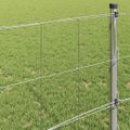 vidaXL Divoký plot 1000 x 80 x 0,18 cm Železo Horúce zinkovanie