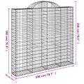 vidaXL Oblúkové gabiónové koše 11 ks 200x50x180/200 pozinkované železo