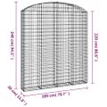 vidaXL Oblúkový gabionový kôš 200x30x220/240 cm pozinkované železo