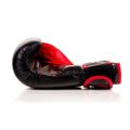 Boxerské rukavice DBX BUSHIDO ARB-415 14 oz