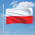 vidaXL Poľská vlajka a stĺp 6,2 m hliníkový