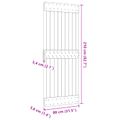 vidaXL Dvere NARVIK 80 x 210 cm Masívne borovicové drevo (neupravené)
