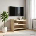 vidaXL TV skrinka 60 x 33 x 47 cm Dub sonoma Kompozitné drevo