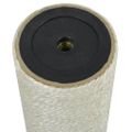 vidaXL Stĺpik na škrabanie pre mačky, 8x45 cm, 10 mm, béžový