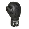 Boxerské rukavice DBX BUSHIDO B-2v18 10 oz