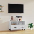 vidaXL TV skrinka biela 80x36x50 cm spracované drevo