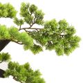 vidaXL Umelý bonsaj, cyprus s kvetináčom 70 cm, zelený