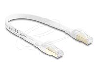 Delock - Patch kábel - RJ-45 (M) do RJ-45 (M) - 25 cm - U/FTP - CAT 8.1 - plochý, rýchlosť prenosu dát až 40 Gbps, lisovaný, prevedenie bez hrbolčeka - biela