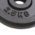 vidaXL Závažia na činky 8 ks, 8x2,5 kg, liatina