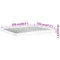 vidaXL Penový matrac biely 120x220 cm 7 zón tvrdosť 20 ILD