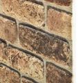 vidaXL Nástenné panely 10 ks 100 x 50 cm Tmavý piesok EPS pena