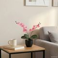 vidaXL Umelá rastlina orchidea Ružová 36 x 10 x 30 cm
