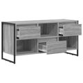 vidaXL TV skrinka 100 x 36 x 49,5 cm Sivý Sonoma Kompozitné drevo