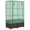 vidaXL Záhon s krytom na skleník ratanový vzhľad 80x40x138 cm