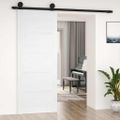 vidaXL Dvere do stodoly biele 80x1,8x204,5 cm masívna borovica