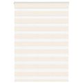 vidaXL Zebra roleta 100x150 cm šírka látky 95,9 cm polyester