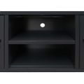 vidaXL Skrinka na TV kovová industriálny štýl 120x35x48 cm čierna