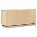vidaXL TV skrinka 100 x 38 x 49 cm Sonoma dub Kompozitné drevo