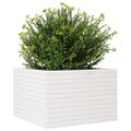 vidaXL Záhradný kvetináč biely 70x70x45,5 cm borovicový masív