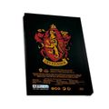 Darčeková sada Harry Potter - Harry, Ron a Hermiona