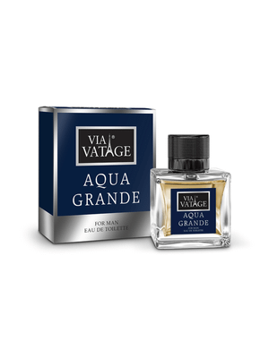 BI-ES VIA VATAGE AQUA GRANDE pánska toaletná voda 100 ML