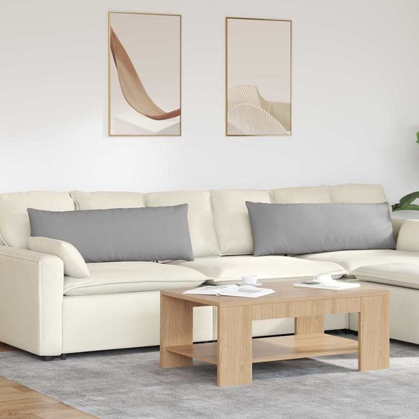 vidaXL Vankúše na pohovku 2 pcs Oblá šedá 120 x 40 cm látka
