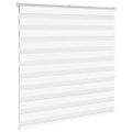 vidaXL Zebra roleta biela 150x150 cm šírka látky 145,9cm polyester