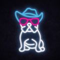 MANTA Pes v Klobúku, LED Neon plexi dekorácia