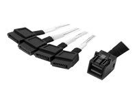 SFF-8643 na 4x SATA (SAS43SAT1M) - Kábel SATA/SAS - 4 x Mini SAS HD (SFF-8643) (samec) do SATA (samec) - 1 m - čierna a strieborná - pre P/N: SFF86448PLT2
