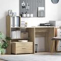 vidaXL Zásuvkový kabinet 55 x 45 x 31 cm Sonoma dub