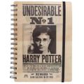 Zápisník Harry Potter - Sirius a Harry 3D