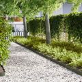 vidaXL Obrubník trávnika 20 ks 100 x 0,05 x 15 cm Olivová zelená