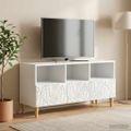 vidaXL TV skrinka 102 x 34,5 x 50 cm Biela Kompozitné drevo