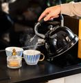 Nerezová kanvica s píšťalkou 3L TEESA TSA0152, čierna