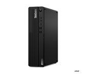 SFF Ryzen 3 8300G / až 4,9 GHz - RAM 8 GB - SSD 256 GB - DVD-zapisovačka - Radeon 740M - Gigabit Ethernet - Win 11 Pro - monitor: žiadny - klávesnica: česká/slovenská - čierna - Lenovo TopSeller