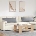 vidaXL Vankúše na pohovku 2 ks látka Svetlosivá 120 x 40 cm