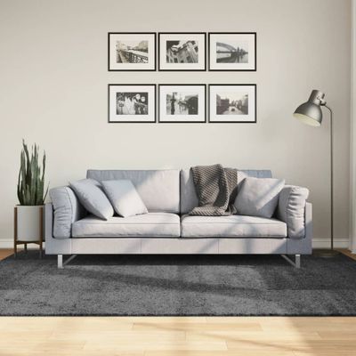 vidaXL Koberec OVIEDO krátky vlas antracitový 160x230 cm