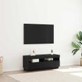 vidaXL TV skrinka 100 x 35 x 40 cm Čierny dub Kompozitné drevo
