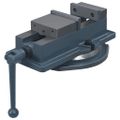 vidaXL Otočný strojový zverák liatina 100 mm