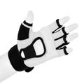 Rukavice na taekwondo DBX BUSHIDO DBX-T-1 XL