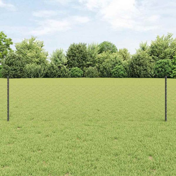 vidaXL Zvarený drôtený plot 100 x 0,5 m (Š x V) PVC potiahnutá oceľ