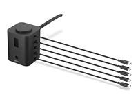 Dobíjacia stanica - 19 watt - 1 A - 5 výstupných konektorov (USB-C) - čierna - celý svet